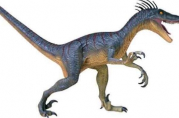桑塔纳盗龙：南美洲小型食肉恐龙（长2米/9900万年前）