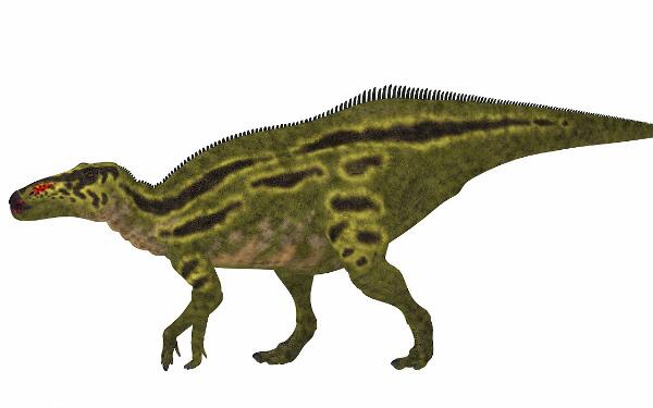 南十字龙：地球上最早的恐龙（长2米/距今2.25亿年前）