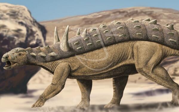 棘椎龙：非洲小型食肉恐龙（长3米/1亿年前的早白垩世）