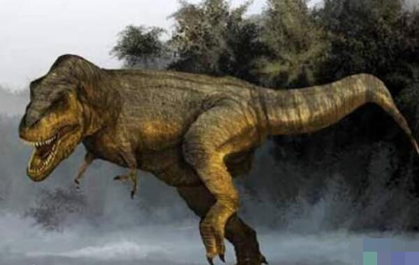 山东龙：中国大型食草恐龙（长15米/距今7300万年前）