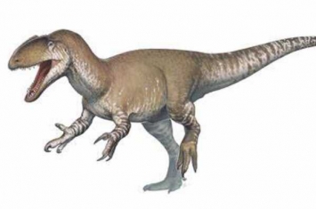 欧洲食肉恐龙：挺足龙 化石失散多年(仅寻回一块颌骨)