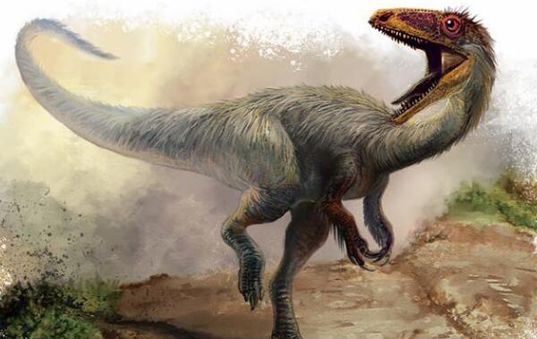 斯基玛萨龙：非洲大型食肉恐龙（长10.5米/9400万年前）