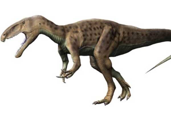 小型兽脚类恐龙：美扭椎龙 体长5-7米/诞生于1亿6千万年