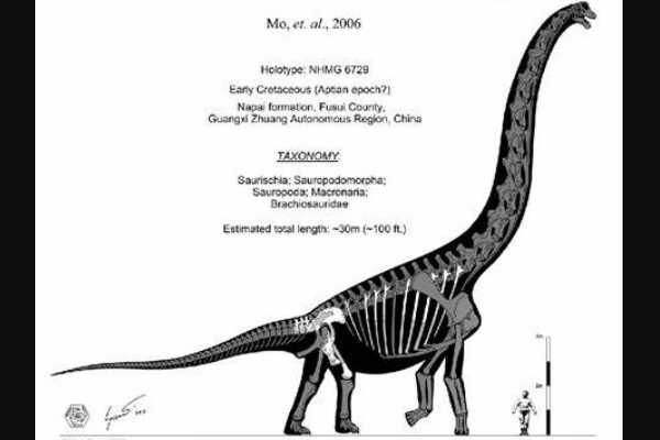 白垩纪中型恐龙：福井盗龙 日本出土的唯一一种食肉恐龙