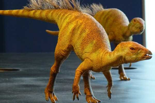 小型杂食恐龙:铸镰龙 羽毛覆盖全身(有着极长第二指爪)