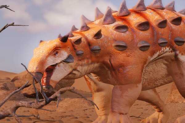 大型食肉恐龙:锐颌龙 体长7米(化石仅完整鼻部)