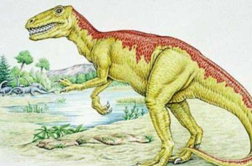 小型食肉恐龙:气龙 体长仅4米(拥有匕首般的牙齿)