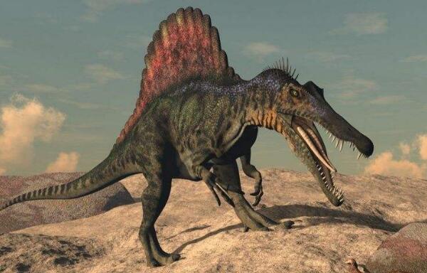 通天龙：中国江西小型恐龙（长2米/距今6000万年前）