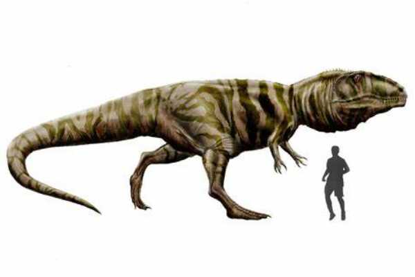 最原始的蜥脚恐龙:冰河龙 在冰川中被发现(体长仅6米)