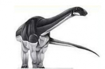 巧龙：新疆小型食草恐龙（长5米/距今1.63亿年前）