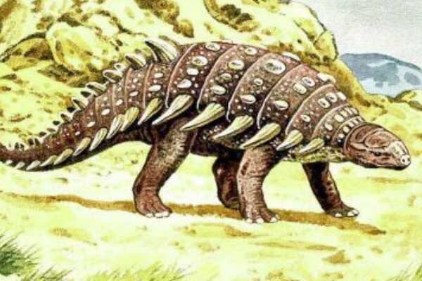 巨型蜥脚类:黄河巨龙 光是指甲就长22厘米(体长20米)
