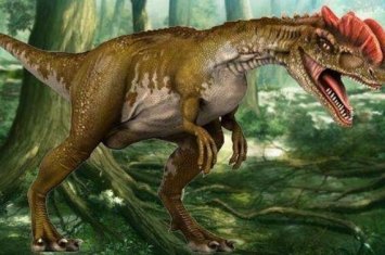 双冠龙：会喷毒液的食肉恐龙（长6米/出土于中国云南）