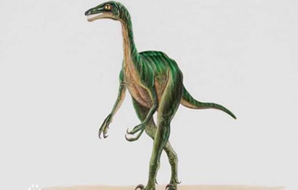 双冠龙：会喷毒液的食肉恐龙（长6米/出土于中国云南）