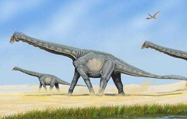 卡戎龙：黑龙江大型食草恐龙（长6米/距今6500万年前）
