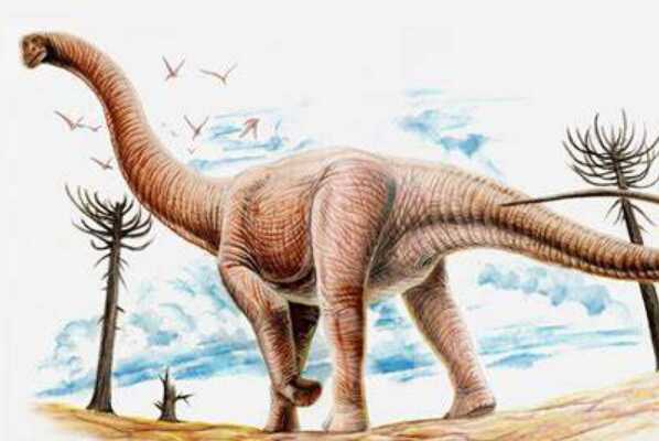 大型蜥脚类恐龙:伊森龙 股骨就有65厘米长(是人的2倍)