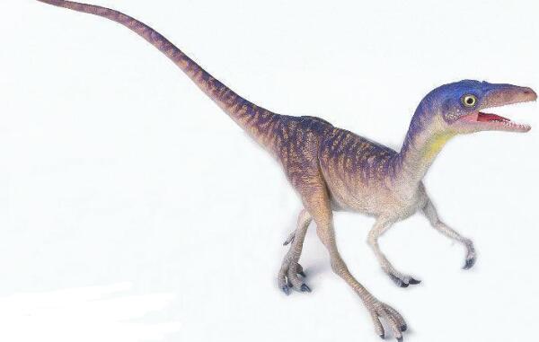 灵龙：最会跑的小型食草恐龙（长1.7米/中国四川出土）