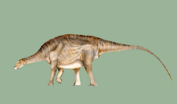 大盗龙：阿根廷的顶级掠食者（长8米/距今9000万年前）
