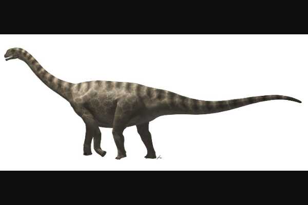 雷利诺龙:极地小型恐龙(拥有极强夜视能力/长90厘米)