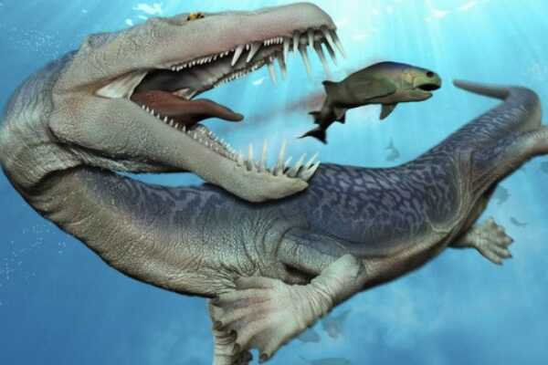 内乌肯龙:南美大型恐龙(长15米/全身长鳞甲)