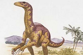 南宁龙:广西大型鸭嘴龙科恐龙(长8米/牙齿稀少)