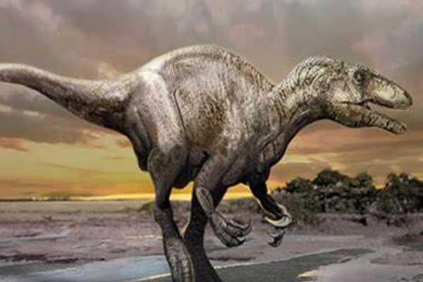 峨眉龙:四川巨型恐龙(长20米/脖子是尾巴1.5倍长)