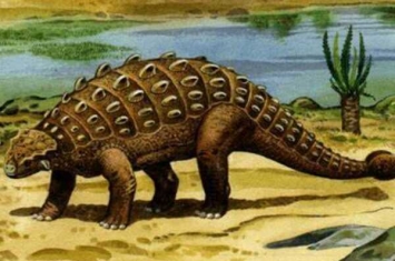 绘龙:蒙古中型恐龙(长5米/鼻孔长有4-5个蛋状洞)