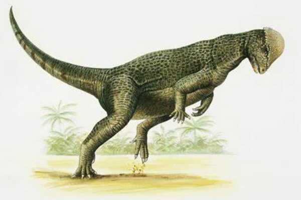 帕拉克西龙:北美超巨型恐龙(长20米/出土于美国德州)