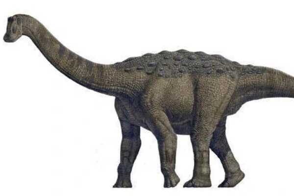皇家龙:英国小型恐龙(长4米/与华阳龙是近亲)