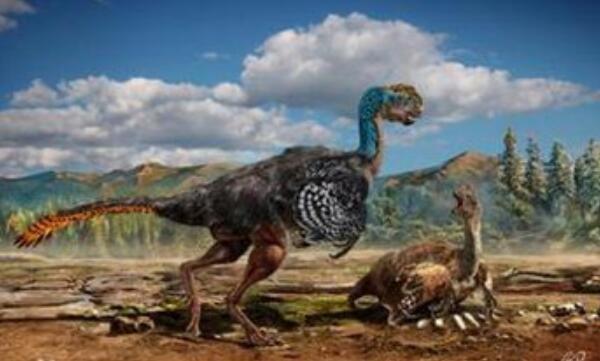 槽齿龙：欧洲小型食草恐龙（长2.1米/距今2亿年前）
