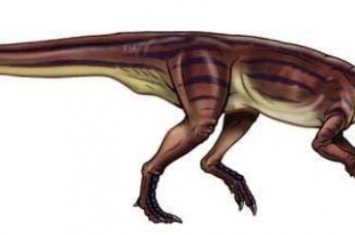 奇异龙：北美洲小型食草恐龙（长3.5米/距今6500万年前）