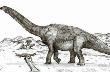 巨体龙:印度超巨型恐龙(股骨长2米/被质疑是树木化石)