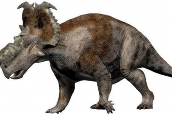 厚鼻龙：北美洲大型食草恐龙（长7米/距今6800万年前）