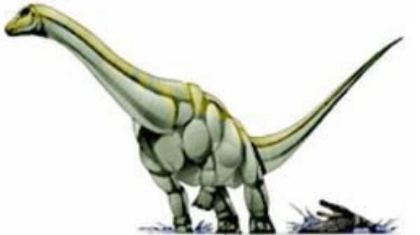 道罗齿龙：欧洲大型食草恐龙（长6米/距今1.25亿年前）