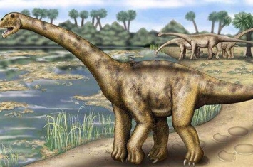 门多萨龙：阿根廷超巨型恐龙（长25米/距今8900万年前）
