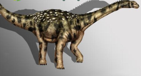 安尼柯龙：阿根廷小型食肉恐龙（长2米/距今9500万年前）