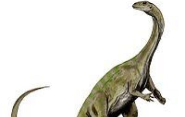 黑丘龙：非洲巨型食草恐龙（长12米/距今2.19亿年前）