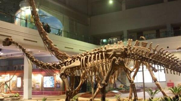 黑丘龙：非洲巨型食草恐龙（长12米/距今2.19亿年前）