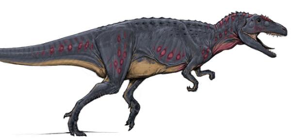 诺普乔椎龙：阿根廷超巨型恐龙（化石只有脊椎骨/长未知）