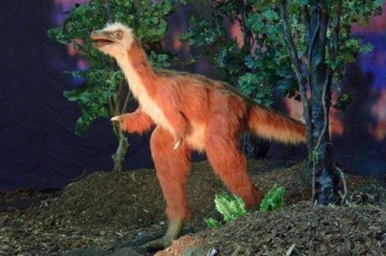 阿瓦拉慈龙：外形似鸟的小型恐龙（长2米/阿根廷出土）