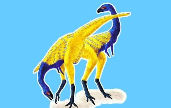 安尼柯龙：阿根廷小型食肉恐龙（长2米/距今9500万年前）