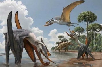 翼龙什么时候出现?最早可追溯到2.2亿年前(三叠纪末期)