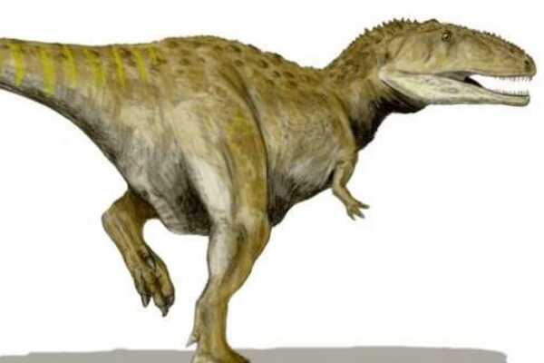 戈瓦里龙:南美大型肉食恐龙(拥有小短手/长6-7米)