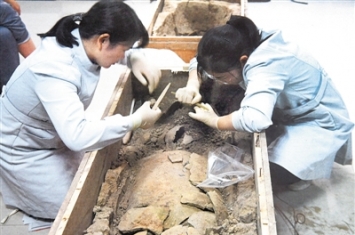 河南郑州仰韶文化遗址发现中国最早丝绸