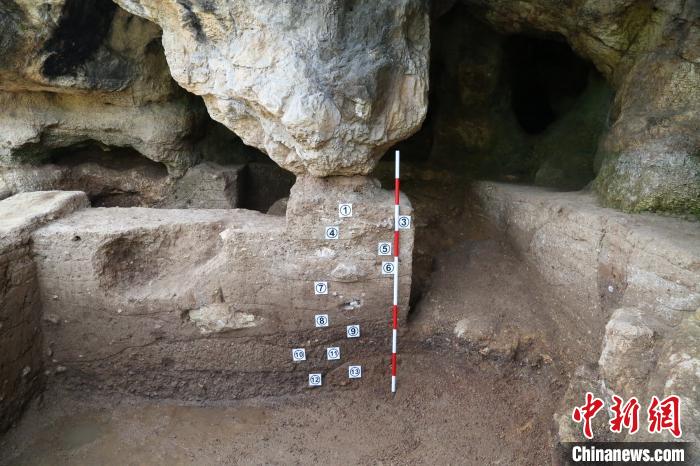 秦岭地区首次发掘出土早期现代人化石