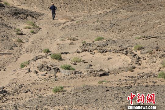 内蒙古阿拉善多处文物遗址取得重大发现