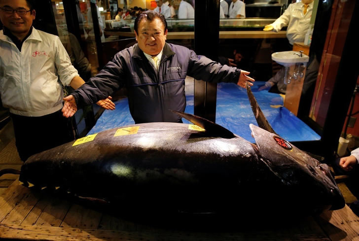 全球最贵黑金枪鱼，要价310万美元