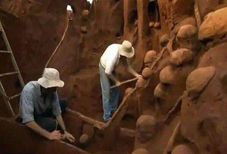 庞大的地下王国，巴西发现世界最大蚁穴，耗时10年