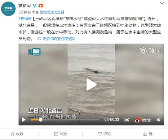 三峡大坝神秘水怪视频画面曝光，外形似蛇身长数十米