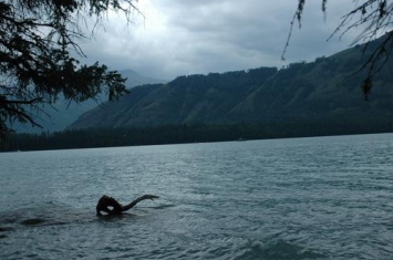 喀纳斯湖水怪是真是假，世界上是否真有水怪存在？