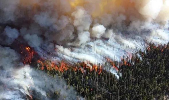 澳洲大火烧死10亿动物 烧毁21%森林 地球被推向危险边缘